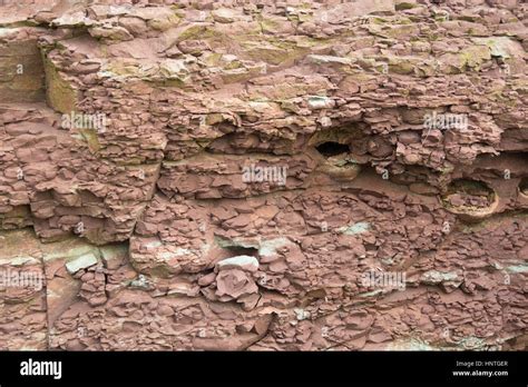 Pinkish Rocks: A Rare and Enchanting Geological Wonder