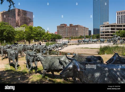 Pioneer Plaza Dallas TX: A Western Sculpture Garden with 49 Bronze Cattle