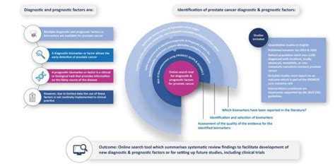 Pioneering Diagnostics in Alexandria