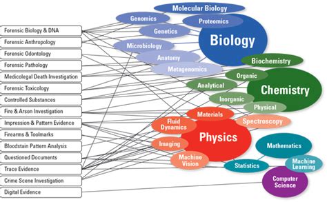 Pioneering Expertise in Key Science Disciplines