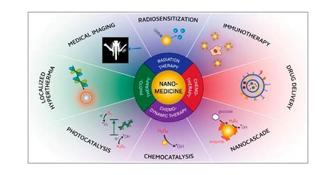 Pioneering Innovations in Nanomedicine