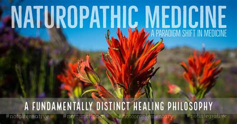 Pioneering the Naturopathic Approach: A Holistic Paradigm Shift