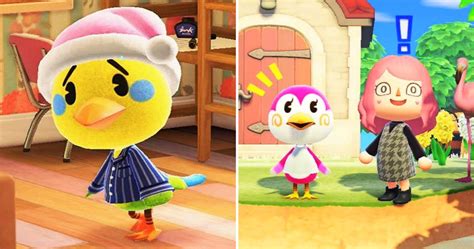 Piper: A Comprehensive Guide to the Charming Bird of Animal Crossing