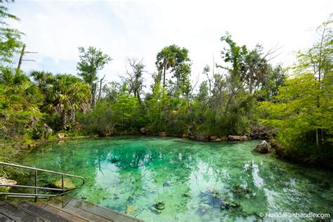 Pitt and Sylvan Springs: Unveiling Nature's Pristine Splendor