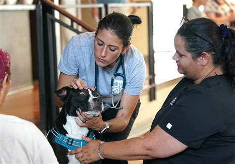 Pittsburgh's Haven for Homeless Pets