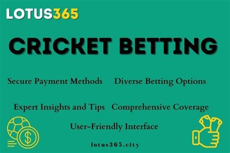 Pix 365 Bet: A Comprehensive Overview and Guide