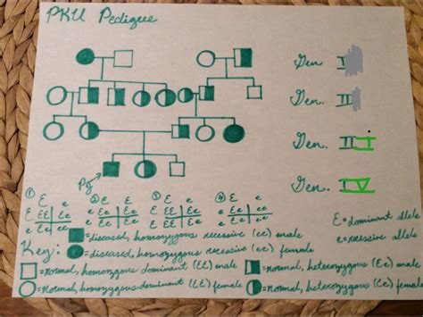 Pku Pedigree Chart