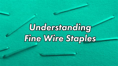 Plain and Simple: A Comprehensive Guide to the Ultimate Staple