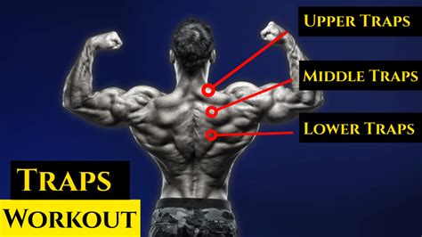 Plan your traps: