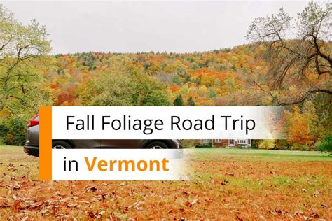 Plan your trip during the spring or fall: