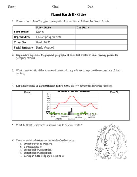 Planet Earth Worksheet Answers Reader