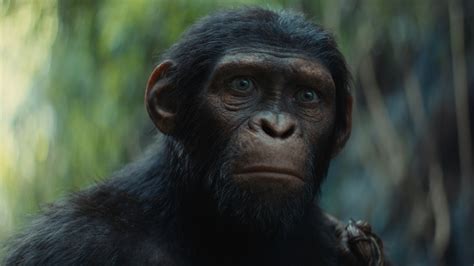 Planet of Apes 2017 Trailer: 7 Things You Need to Know