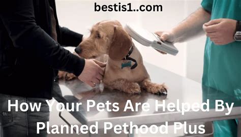 Planned Pethood Near Me: Your Comprehensive Guide to Responsible Pet Ownership