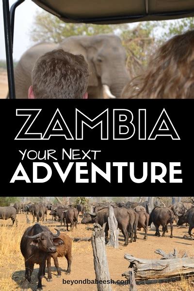 Planning Your Trip to Zambia