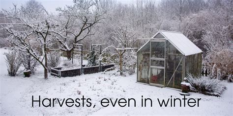 Planning Your Winter Garden