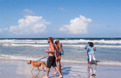 Planning the Perfect Pet-Friendly Getaway in Jacksonville