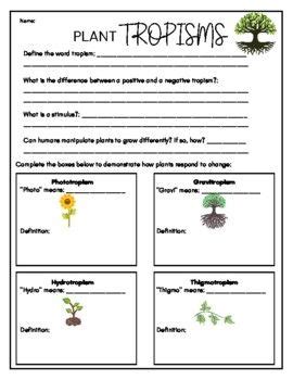 Plant Adaptations And Tropisms Webquest Answer Key Kindle Editon