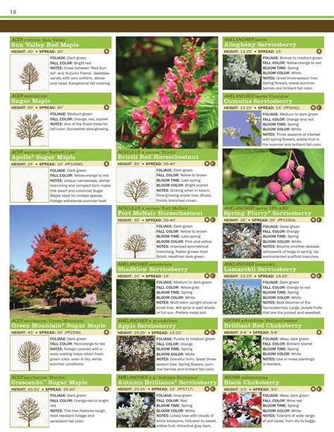 Plant And Tree Catalogs