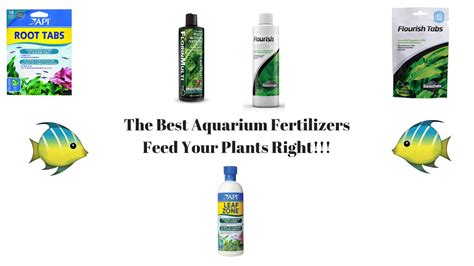 Plant Aquarium Fertilizer: The Ultimate Guide to Thriving Aquatic Plants