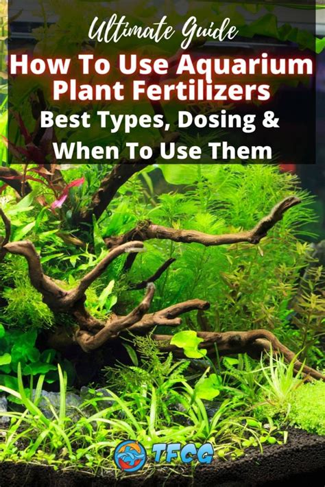 Plant Aquarium Fertilizer: Types, Benefits, and How to Use