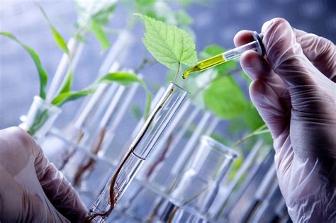 Plant Biotechnology Doc