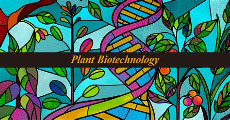 Plant Biotechnology Emerging Issues and Applications Epub