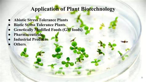 Plant Biotechnology Transfer Doc