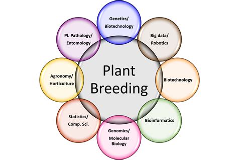 Plant Breeding Epub