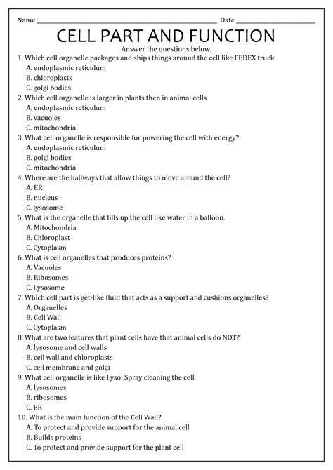 Plant Cell Questions And Answers Doc