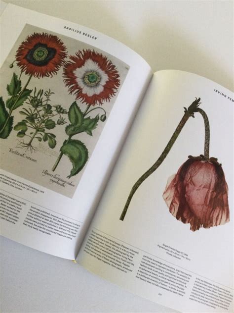 Plant Exploring Botanical Phaidon Editors Kindle Editon