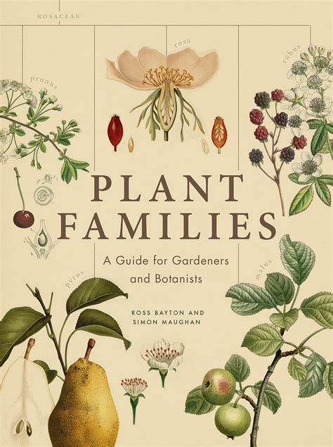 Plant Families A Guide for Gardeners and Botanists Kindle Editon