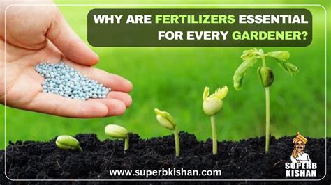 Plant Fertilizer Fish: 10,000+ Words of Essential Knowledge for Every Gardener