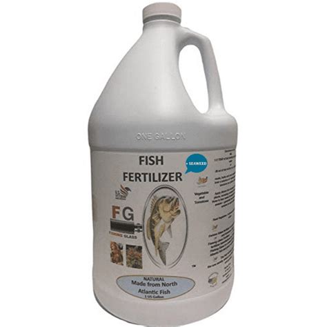 Plant Fertilizer Fish: 10,000 Gallons of Free Nutrients