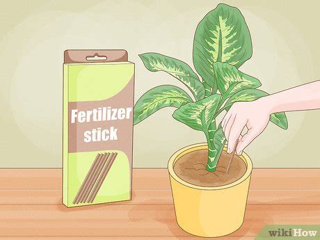 Plant Fertilizer Sticks: 3 Easy Ways to Boost Your Plants' Health