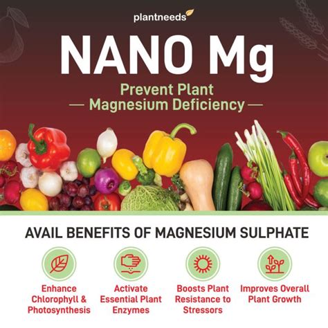 Plant Fertilizer with Magnesium: The 5 Essential Benefits