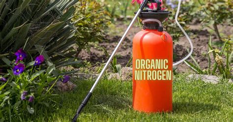 Plant Fertilizer with Nitrogen: Boost Your Garden with Nature's 200%