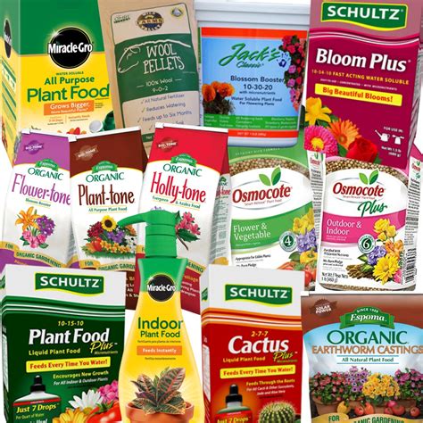 Plant Food Fertilizer: The 12 Best Ways to Nourish Your Plants