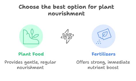 Plant Food vs. Fertilizer: The Key Differences