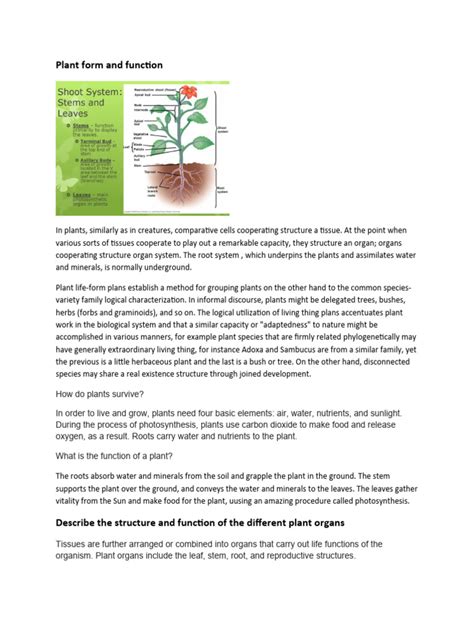 Plant Form and Function Prof. M.R. Vijayaraghavan Festschrift Volume Reader