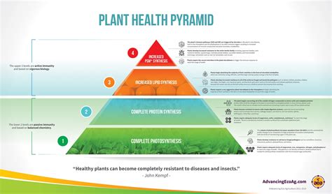 Plant Health Management PDF