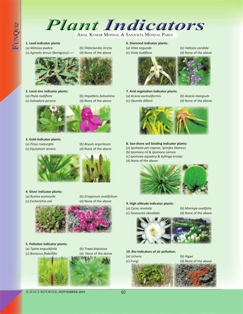 Plant Indicators; The Relation of Plant Communities to Process and Practice Doc