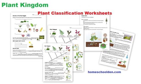 Plant Kingdom Pkt Answer Key Reader