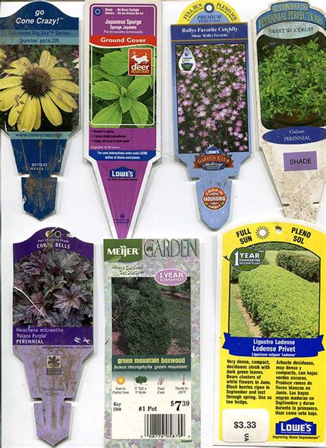 Plant Labels: The Essential Guide to Identify and Organize Your Garden