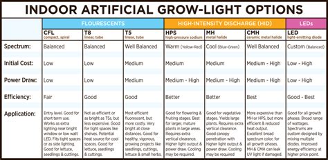 Plant Lighting LED: 10,000+ Characters of Comprehensive Guide