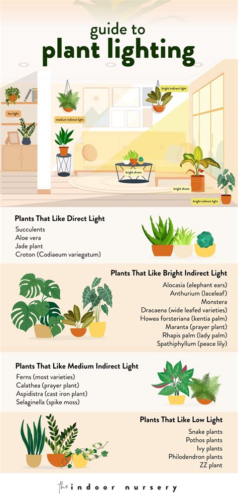 Plant Lighting LED: A Comprehensive Guide to Lighting Your Plants Indoors