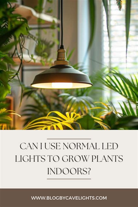 Plant Lighting LED: The Ultimate Guide to Growing Healthy Plants Indoors