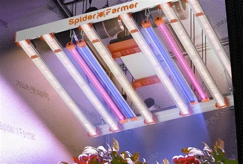 Plant Lighting LED: Unlocking the Power of Light for Indoor Gardening