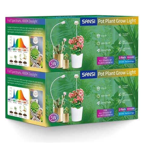 Plant Lighting LED: Your Guide to Indoor Gardening Success