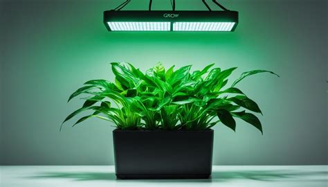 Plant Lighting LEDs: A Comprehensive Guide to Optimizing Plant Growth