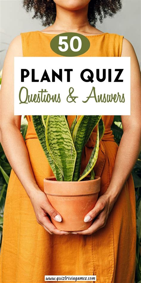 Plant Question And Answers Doc